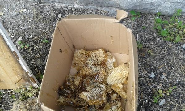 honeycomb in a box